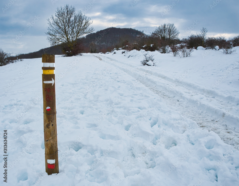 GR signal at snow