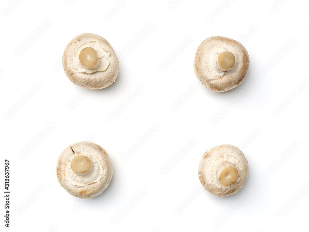 Mushroom champignon isolated on white background Mushroom champignon isolated on white background