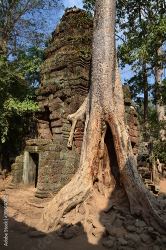Ein Highlight im UNESCO-Welterbe Angkor  Ta Prohm