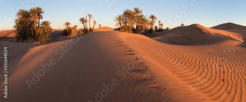 Colorful sunset in the desert above the oasis with palm trees and sand dunes. Sahara desert  Morcco  Africa