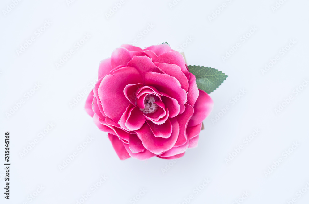 Beautiful flowers background Beautiful flowers background