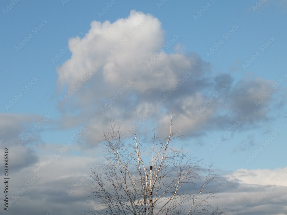 Obraz premium blue sky and clouds