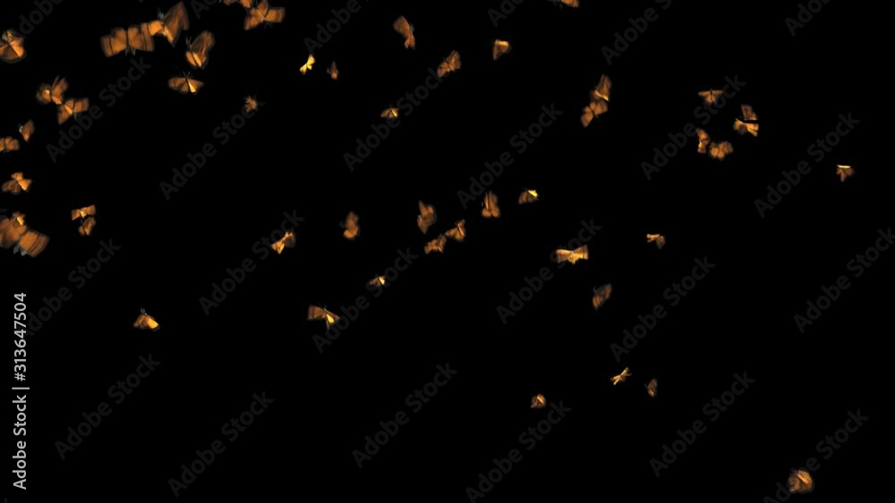 (3 in 1) A Swarm of Monarch Butterfly Wipes the Screen from Front View with Slight Dolly Out, Top Aerial View with Camera Moving Forward & Sideways on Transparent Alpha Background, Normal Map Included