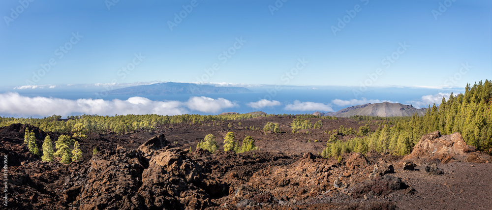 Fototapeta premium Vibrant lime coloured fir trees growing in volcanic landscape with La Gomera in the Canry Islands, Spain in the background