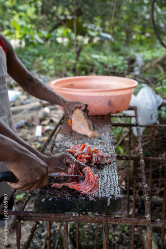 Cleaning fish on a tropical beach photo