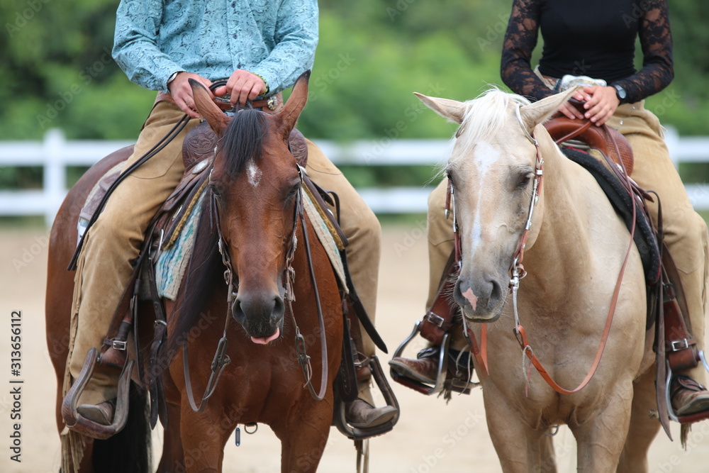 Obraz premium konie w stylu western