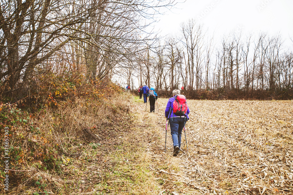 Hiking Group Of People Walking In Nature Hiking Group Of People Walking In Nature