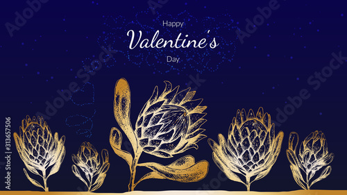Stock vector illustration Saint valentine's day cards with gold protea king flowers on blue background. Spring botanical template for web site banner or greeting card love day.