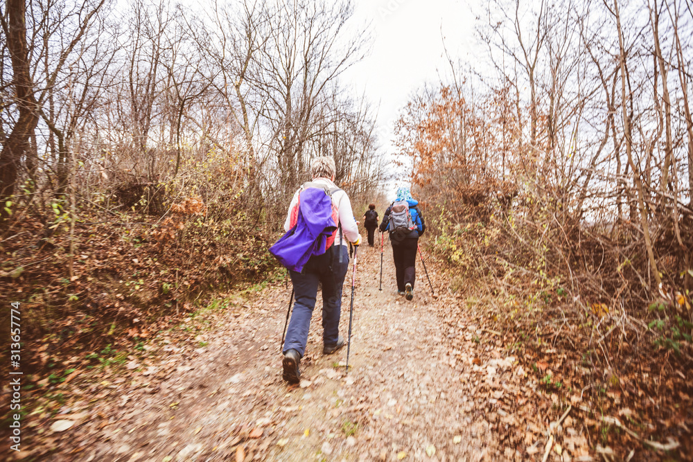 Fototapeta premium active people trekking in the forest