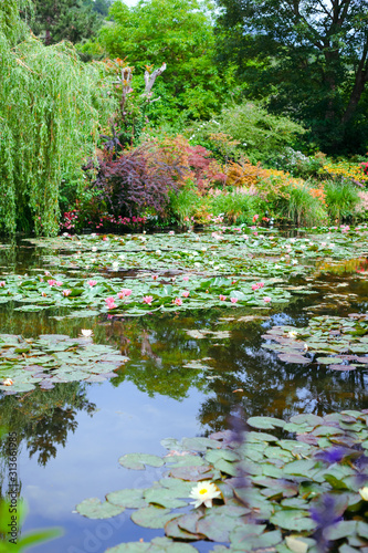 Giverny. France. Claude Monet's Garden. Pond with water lilies photo