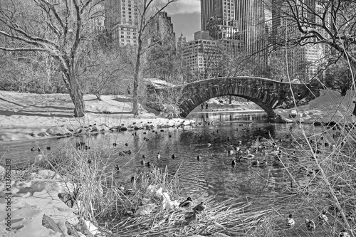 Black and white renditions of New York landmarks