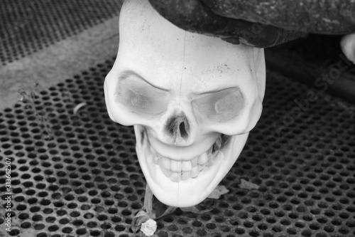 Skull Halloween Decoration