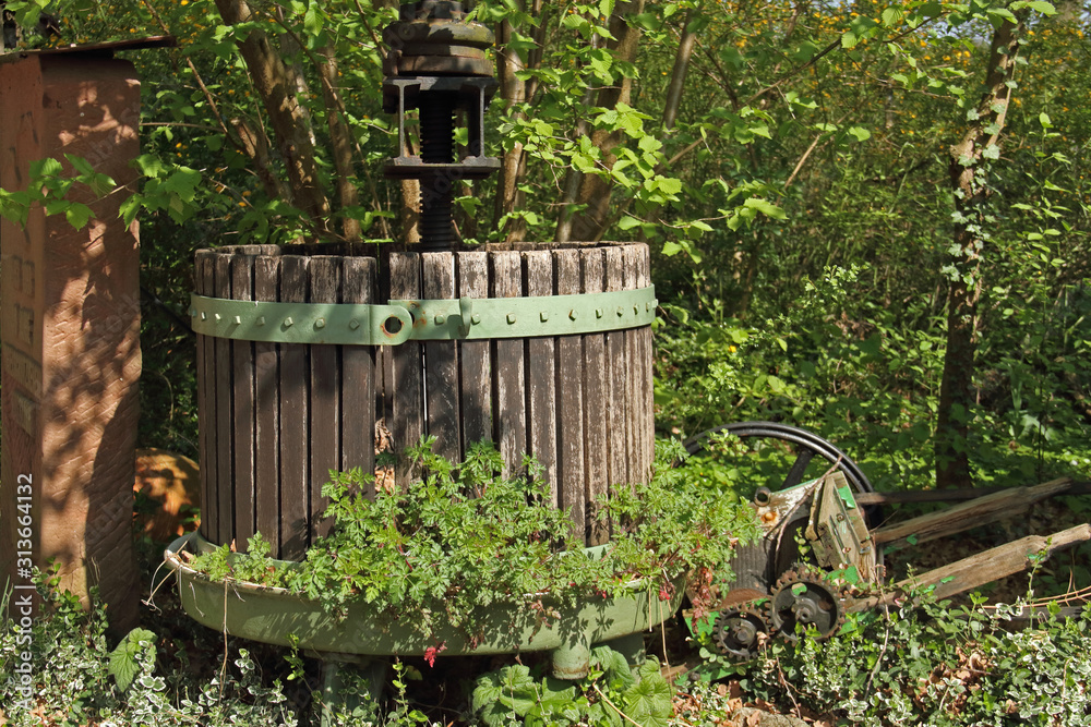 Fototapeta premium Kelter