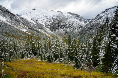 Mount Ruth Covered In Snow with Evergreen Trees