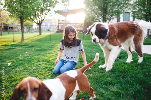 Tween girl sits in grass playing with 2 dogs in the backyard at home photo