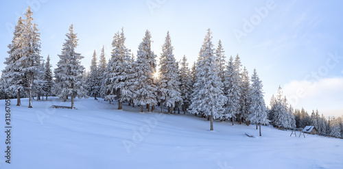 Winter landscape. Amazing panorama is opened on mountains, meadow, the forest with trees covered with snow and the blue sky. Location place Carpathian, Ukraine, Europe. Wallpaper background.