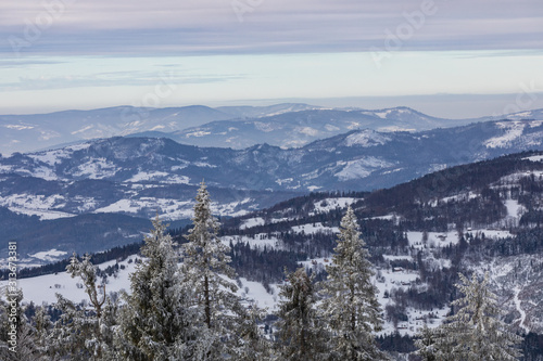 Fototapeta Naklejka Na Ścianę i Meble -  Beskid Zywiecki. Winter in Poland. Captured during trekking on the way to Rysianka, near Zabnica village. Snowy Winter Mountains.