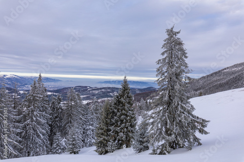 Fototapeta Naklejka Na Ścianę i Meble -  Beskid Zywiecki. Winter in Poland. Captured during trekking on the way to Rysianka, near Zabnica village. Snowy Winter Mountains.