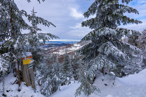 Fototapeta Naklejka Na Ścianę i Meble -  Beskid Zywiecki. Winter in Poland. Captured during trekking on the way to Rysianka, near Zabnica village. Snowy Winter Mountains.
