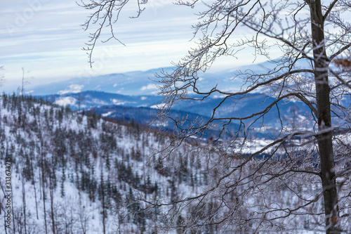 Fototapeta Naklejka Na Ścianę i Meble -  Beskid Zywiecki. Winter in Poland. Captured during trekking on the way to Rysianka, near Zabnica village. Snowy Winter Mountains.