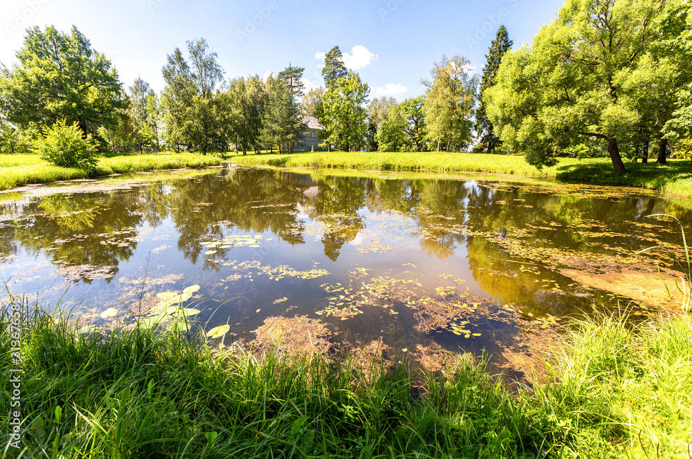 Fototapeta premium Summer landscape with small pond