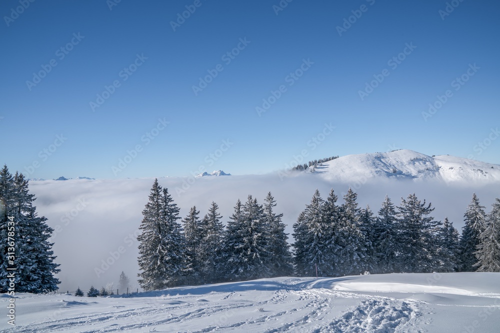 Fototapeta premium Mount Rigi