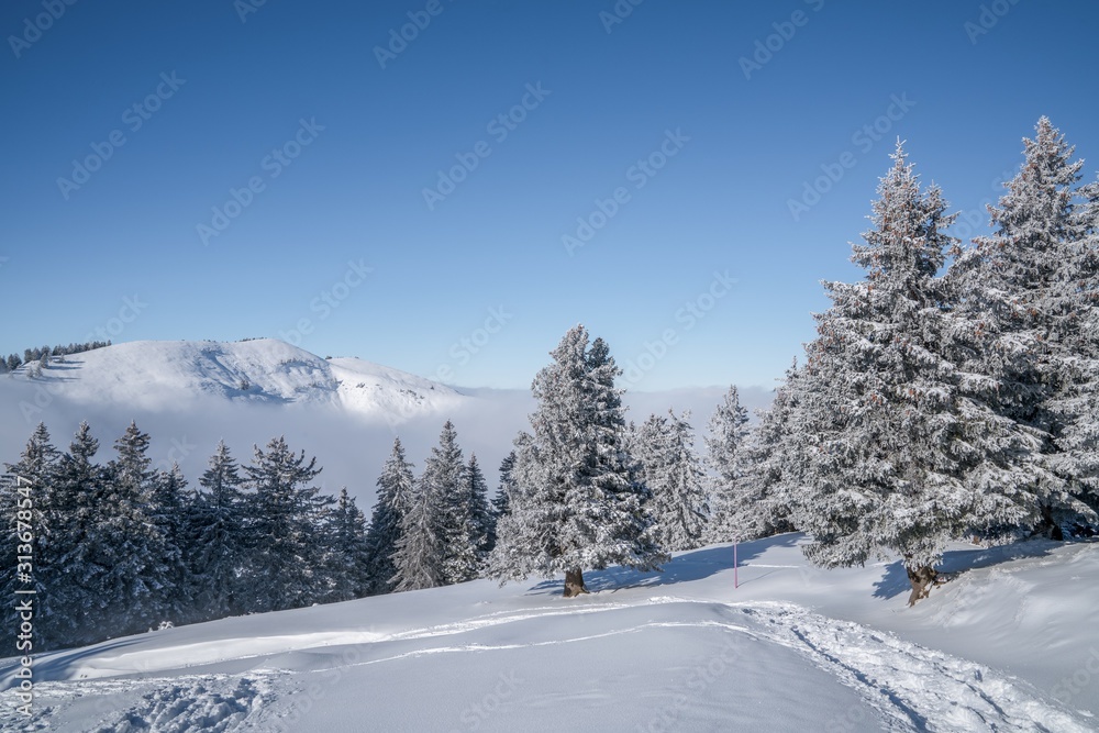 Mount Rigi