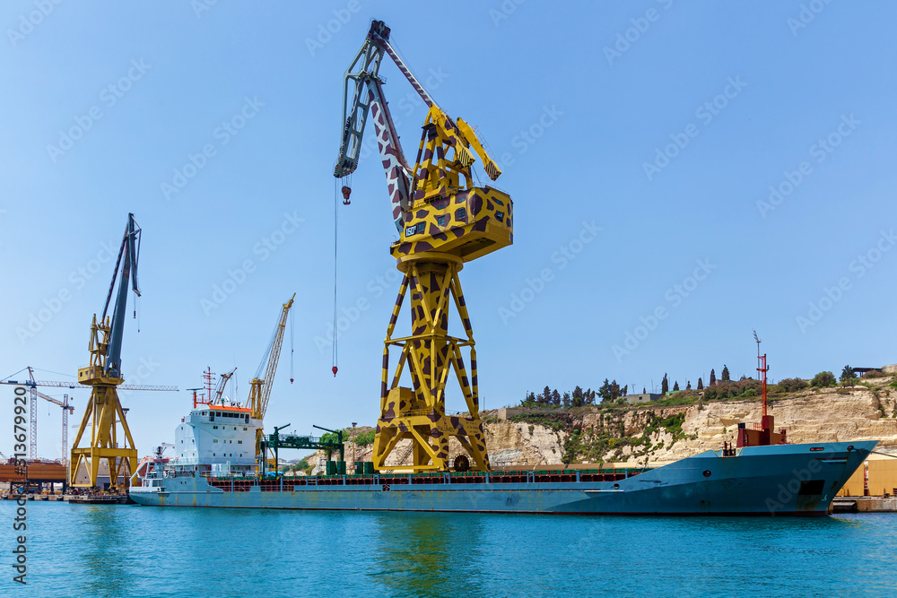 Fototapeta premium The crane on a floating dock