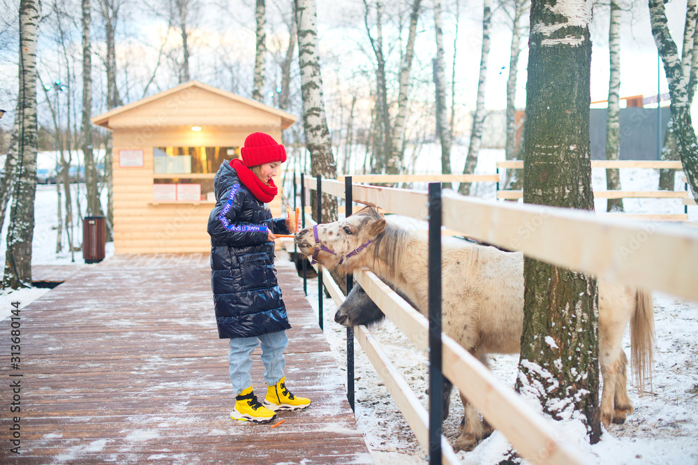 Happy teenage girl wearing warm clothes feeding wild animals in zoo. Happy teenage girl wearing warm clothes feeding wild animals in zoo.