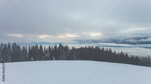 winter mountains with clouds and fog in sunset time. Ski slope, pine tree forest, mount range in the background. Majestic nature landscape. Holidays in Ski Resort Bukovel, Ukraine.