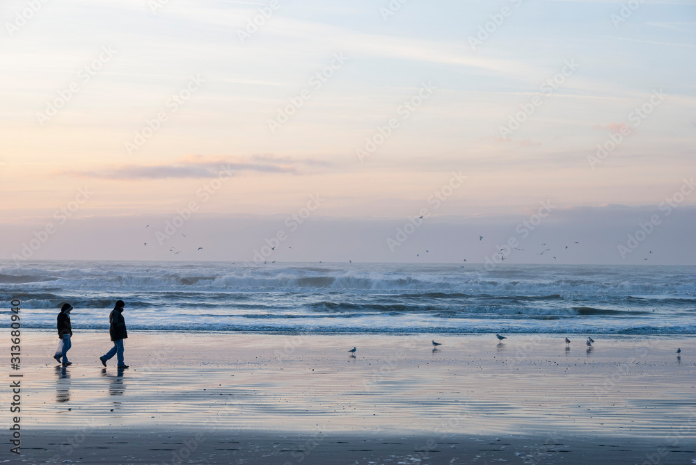 France. Baie de Somme. Picardie.  Promeneur, marcheur sur la plage à marée basse au coucher de soleil.   Bay of Somme. Picardy. Walker, walker on the beach at low tide at sunset.