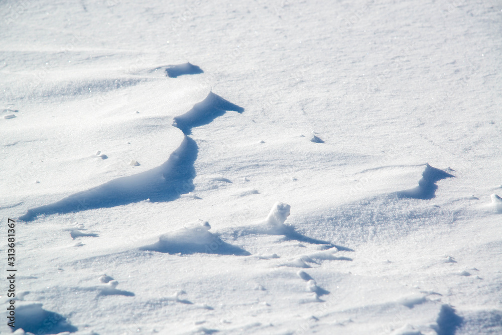 Obraz premium シュカブラ