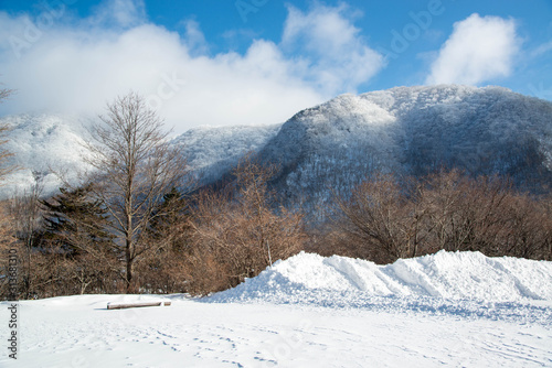 雪の積もった公園 © yui_yakushiji