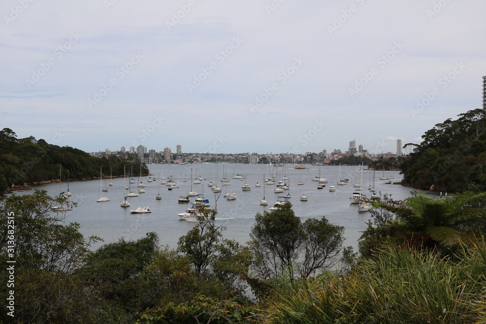 Landscape of Cremorne Point Sydney in Australia