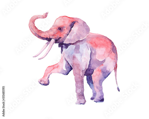 An original and bold image of a pink elephant in watercolor technique.