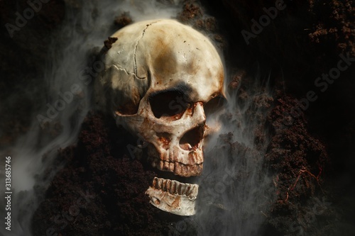 Skull of a dead man in on the ground photo