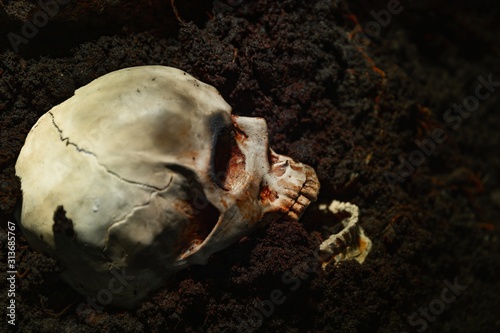 Skull of a dead man in on the ground