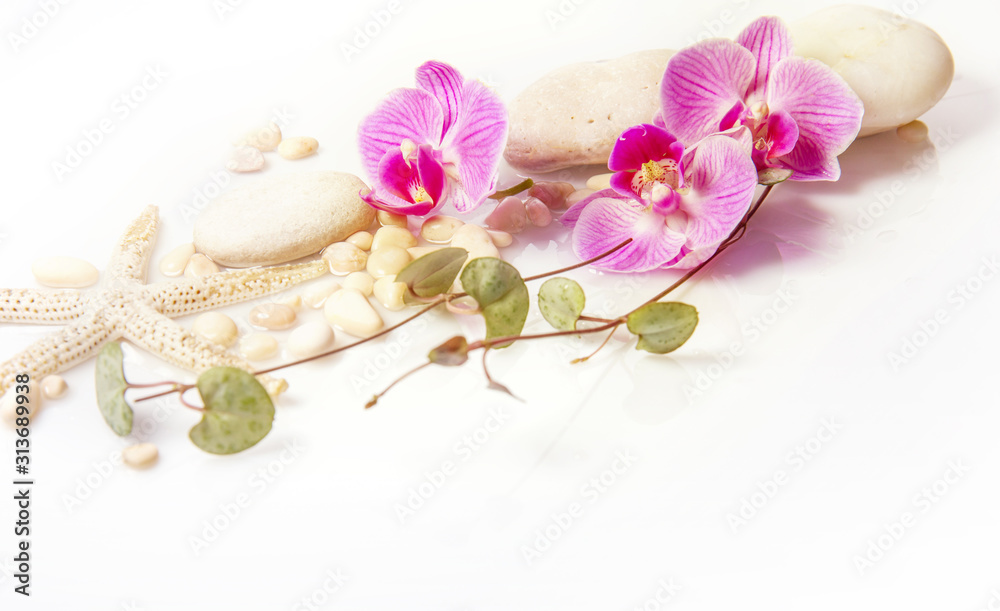 Spa background with stones and purple orchid isolated on white Spa background with stones and purple orchid isolated on white