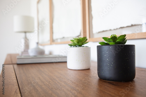 Wallpaper Mural Plant detail soft focus Torontodigital.ca