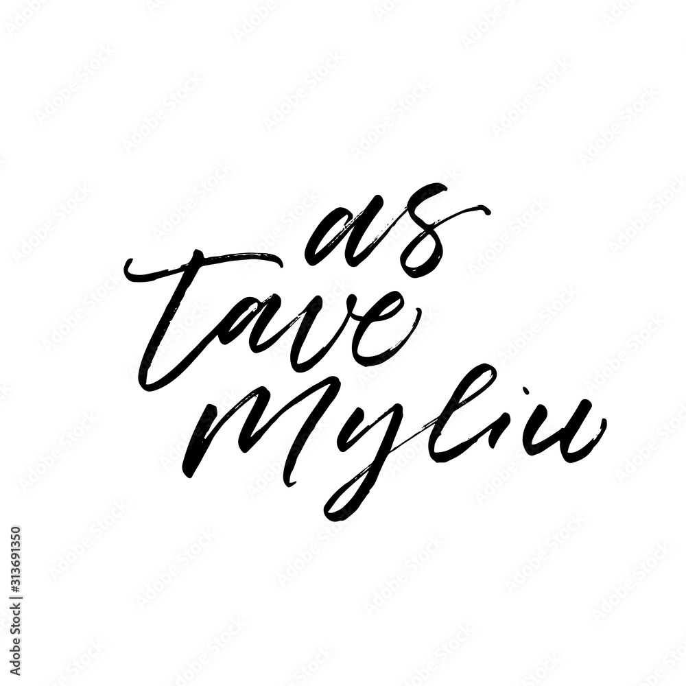 I love you in Lithuanian. Modern vector brush calligraphy. Ink illustration with hand-drawn lettering. I love you in Lithuanian. Modern vector brush calligraphy. Ink illustration with hand-drawn lettering.