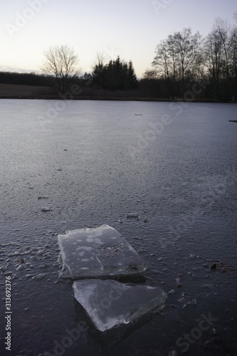 Pond in winter