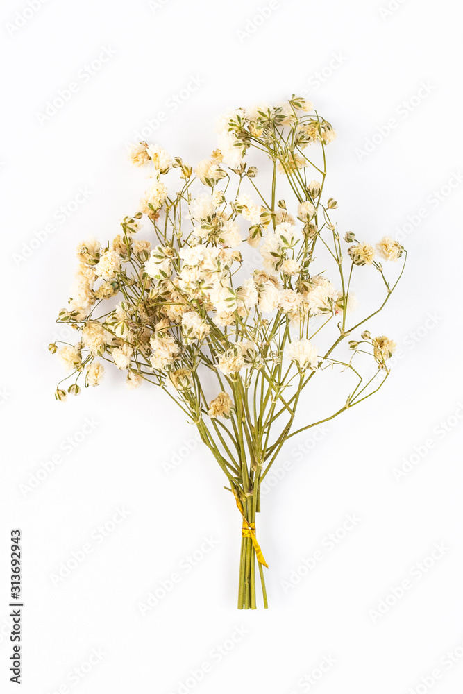 Flowers composition. Floral pattern. Postcard of dried flowers. White flowers on white background. Valentine's Day. International Women's Day, March 8. Flat lay, top view, copy space