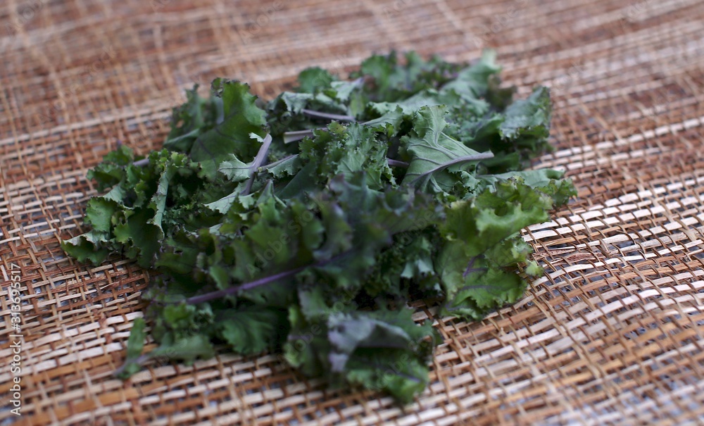 Very fresh greens of salad leaves on the table on the napkin side view Very fresh greens of salad leaves on the table on the napkin side view