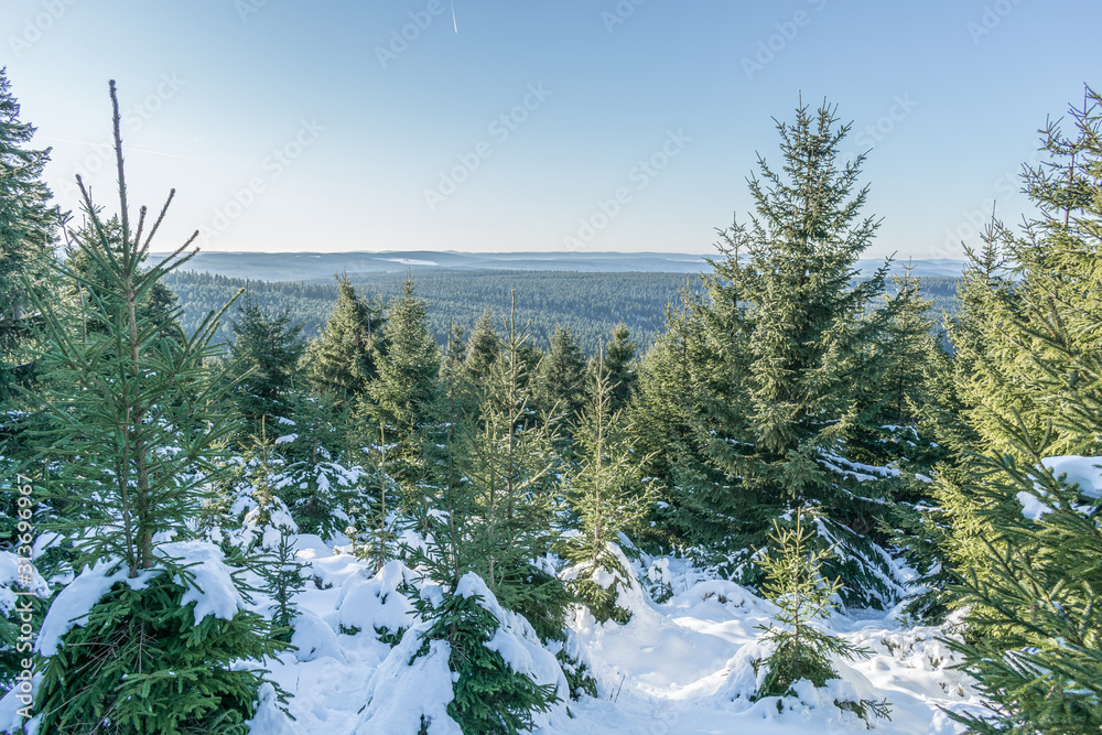 Schnee Wald Sonnenschein Fichtelberg Oberwiesenthal Schnee Wald Sonnenschein Fichtelberg Oberwiesenthal