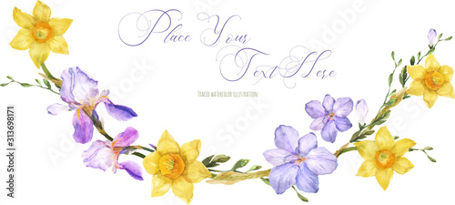 Decorative watercolor arc with spring flowers daffodil and iris and freesia on a white background, traced
