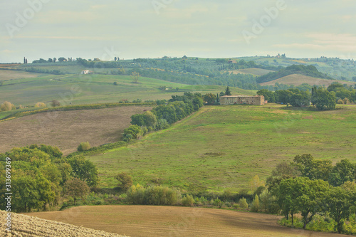  landscape of hills tuscany in autumn in Italy