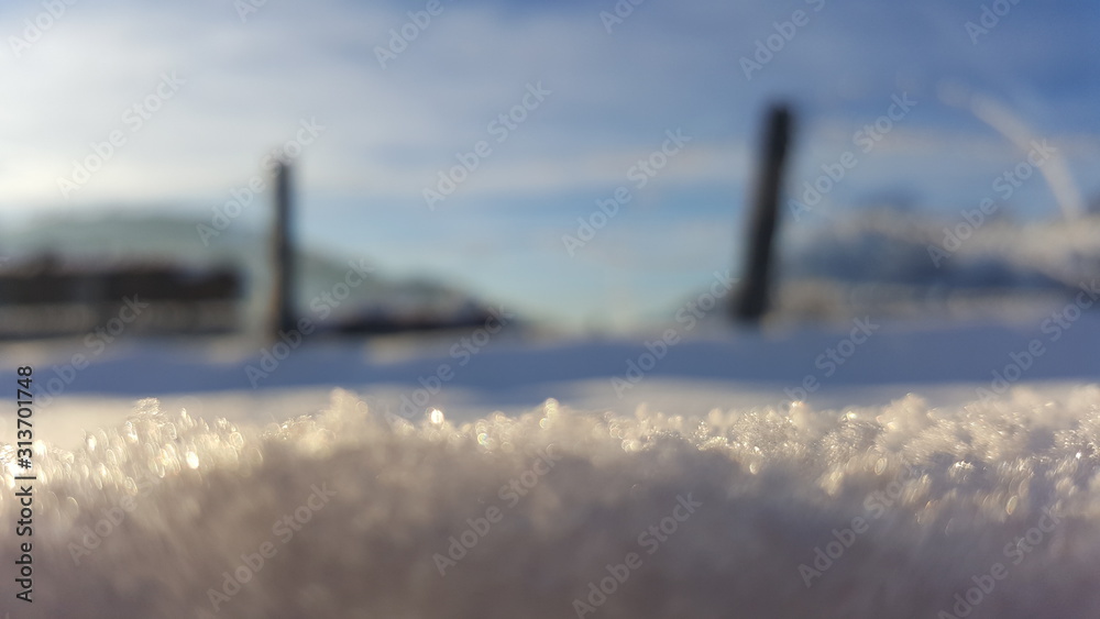 Fototapeta premium winter landscape