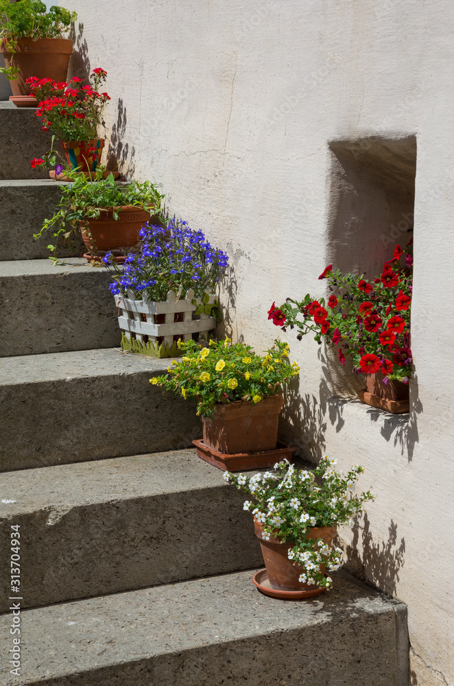 Plant pots with colourful flower on a residential property steps in Gruyères, Switzerland