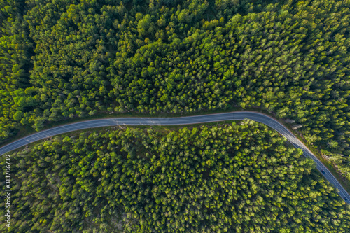 The time of year is summer. Road through a country of pine forests and lakes aerial view