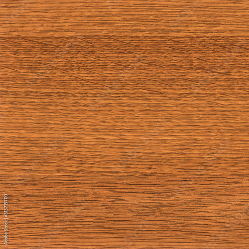 Wood texture background. Close up plywood surface with natural pattern